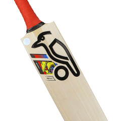 Kookaburra English Willow Cricket Bat - Beast Pro 4.0