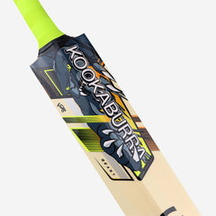 Kookaburra Kashmir Willow Cricket Bat - Beast Pro 9.0