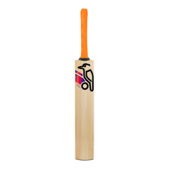Kookaburra Kashmir Willow Cricket Bat - Aura Pro 8.0