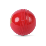 SG Everlast synthetic weatherproof polyurethane Cricket Ball (Red)