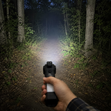 Greenlands 3W LED USB Rechargeable Torch