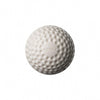 SG Swinga Cricket Ball (White)