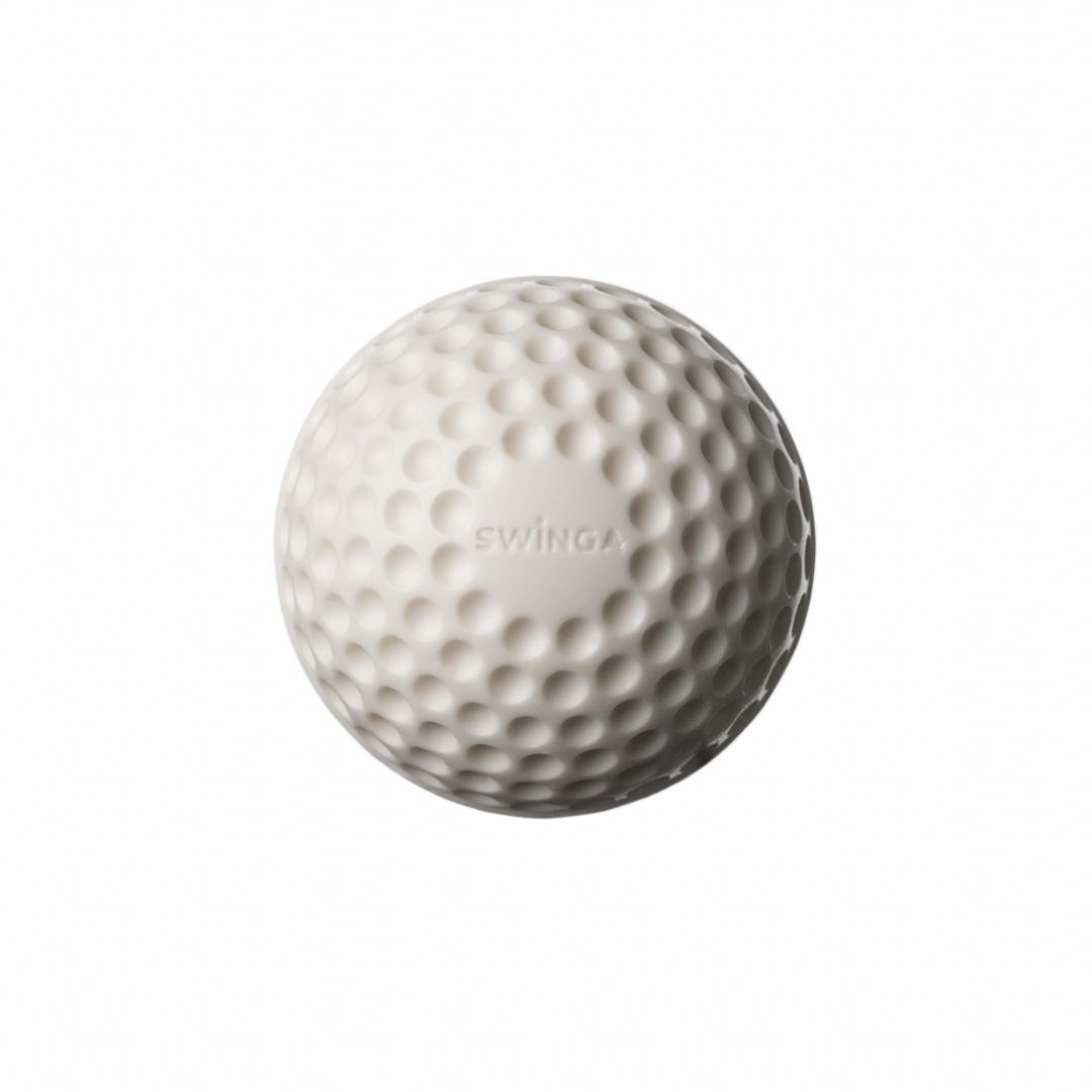 SG Swinga Cricket Ball (White)