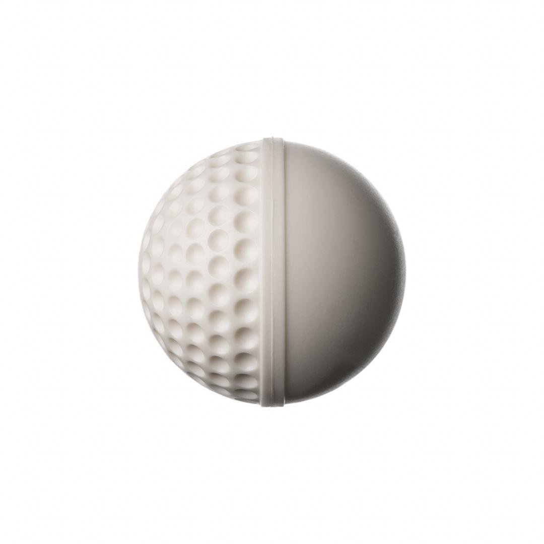 SG Swinga Cricket Ball (White)