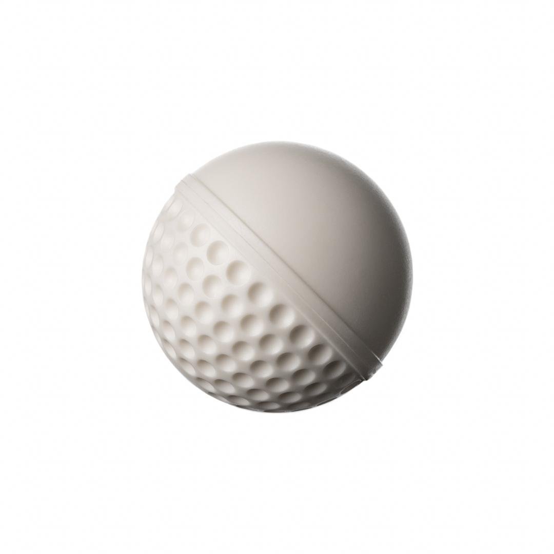 SG Swinga Cricket Ball (White)
