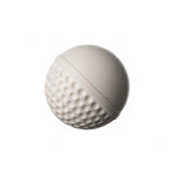 SG Swinga Cricket Ball (White)