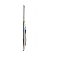 SG Roar Spark Kashmir Willow Cricket Bat