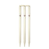 SG Club Cricket Stumps