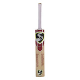 SG Valor Kashmir Willow Cricket Bat