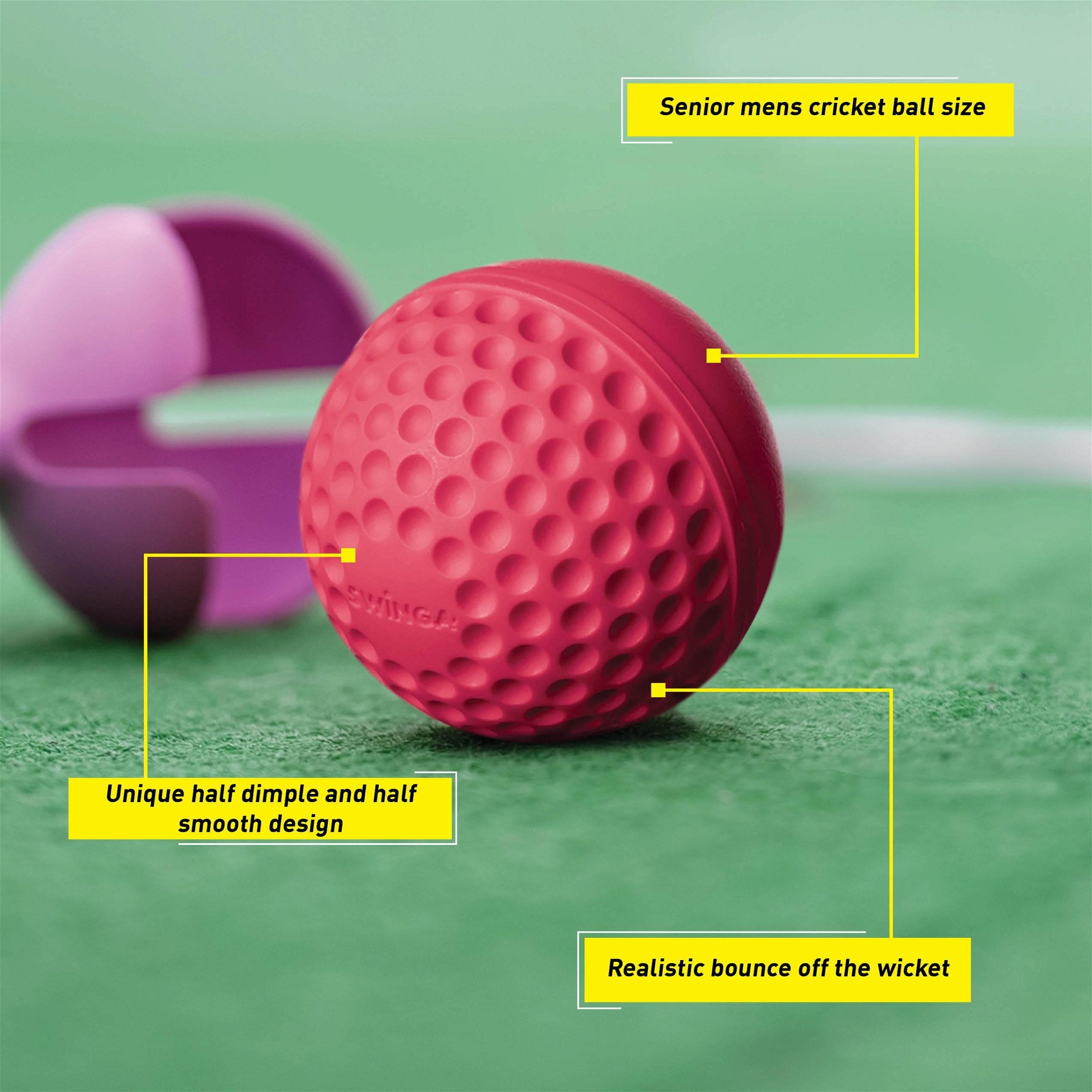 SG Swinga Cricket Ball (Pink)