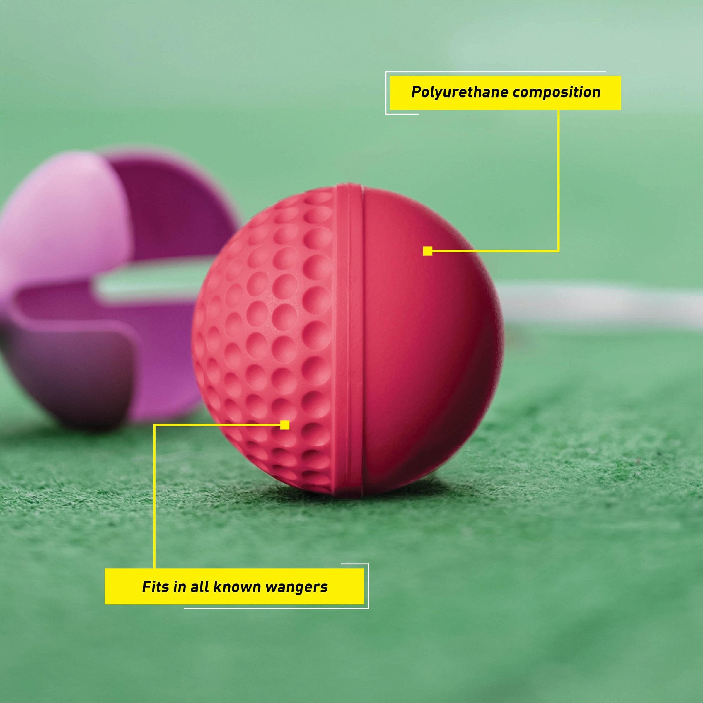 SG Swinga Cricket Ball (Pink)
