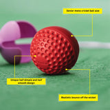 SG Swinga Cricket Ball (Red)