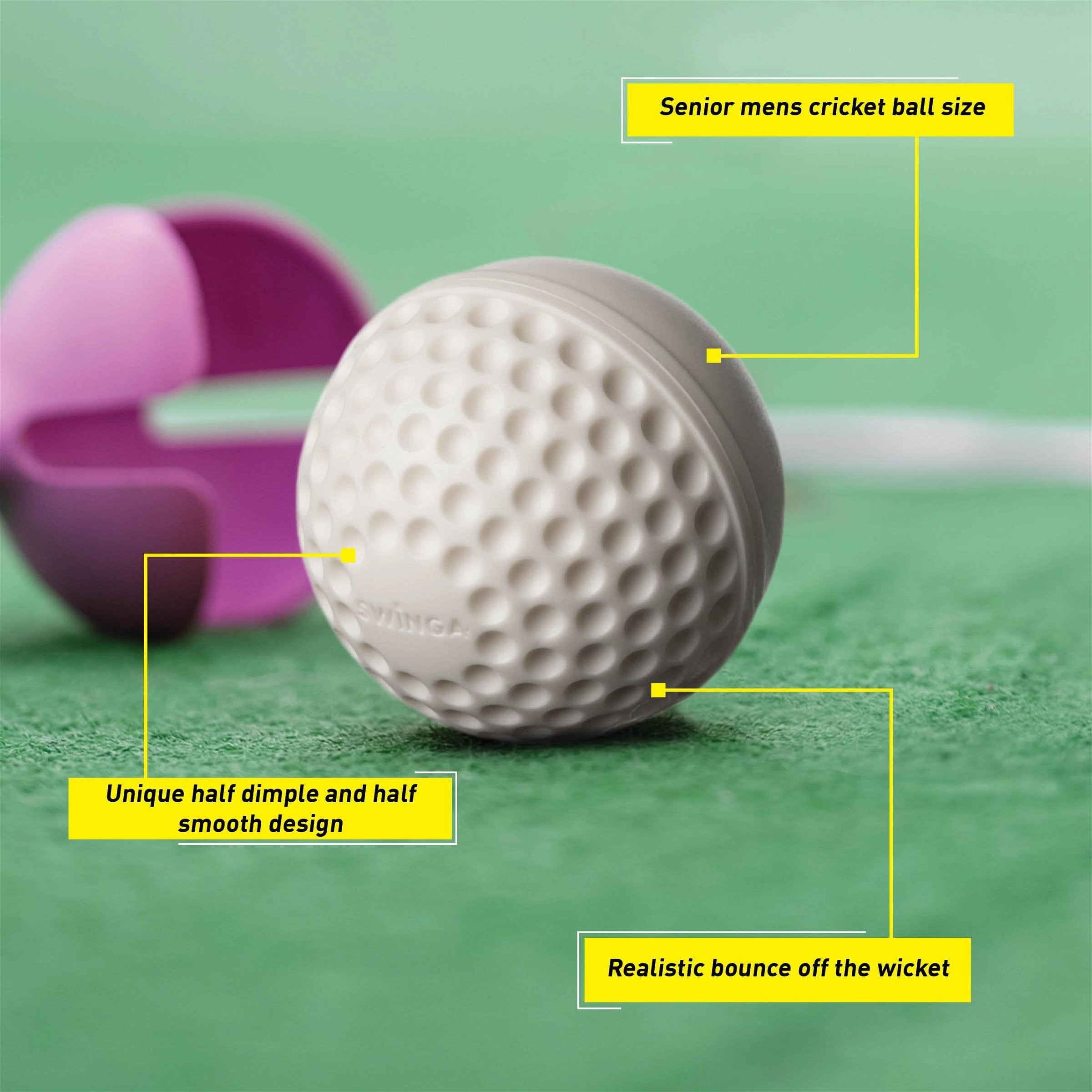 SG Swinga Cricket Ball (White)
