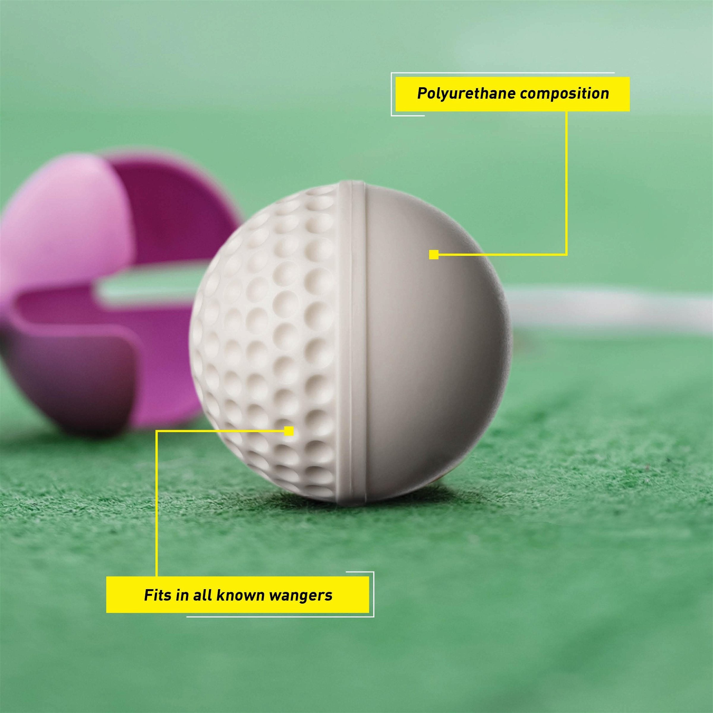SG Swinga Cricket Ball (White)