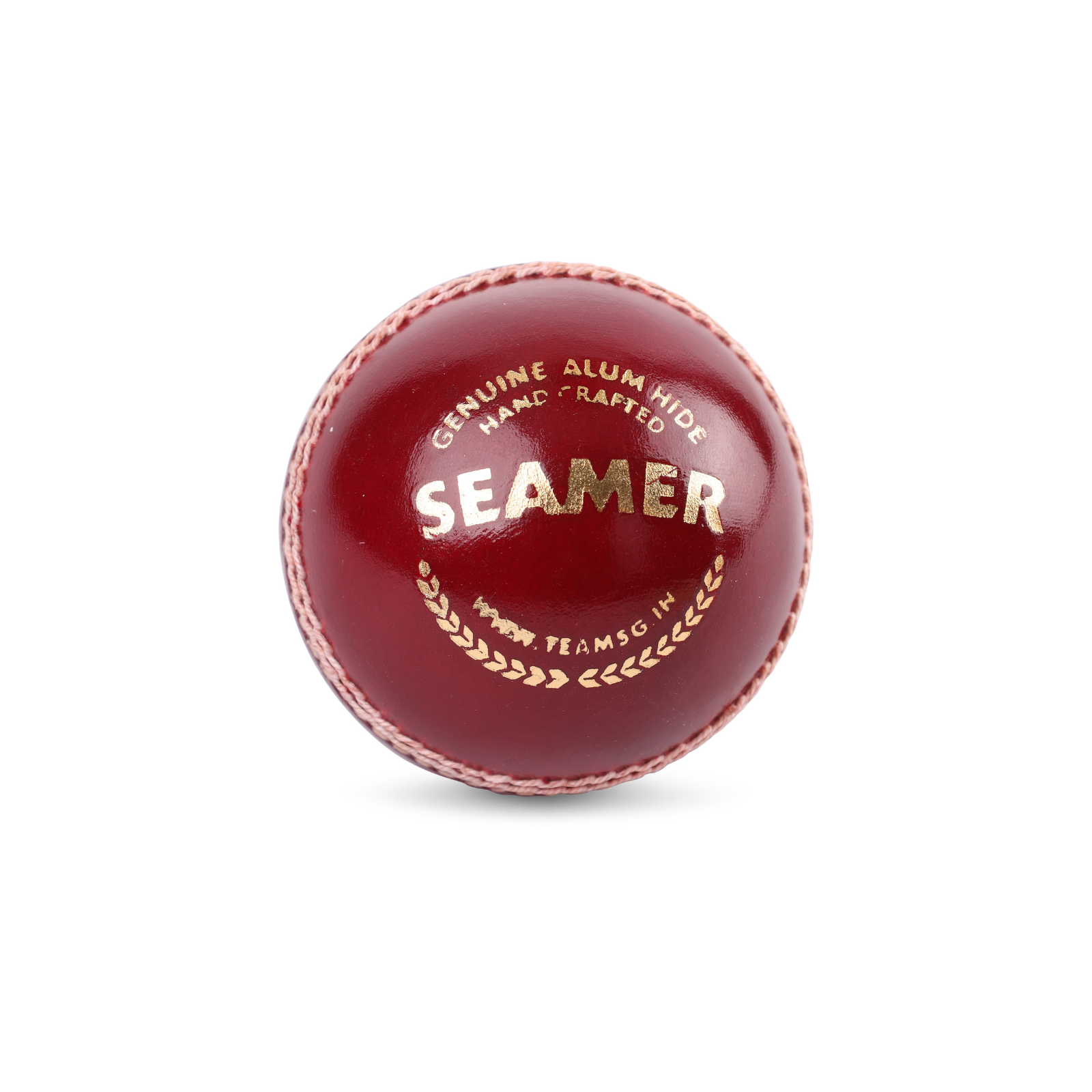 SG Seamer Cricket Leather Ball