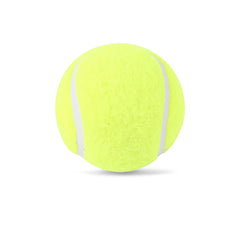 SG Ace Lightweight Cricket Tennis Ball