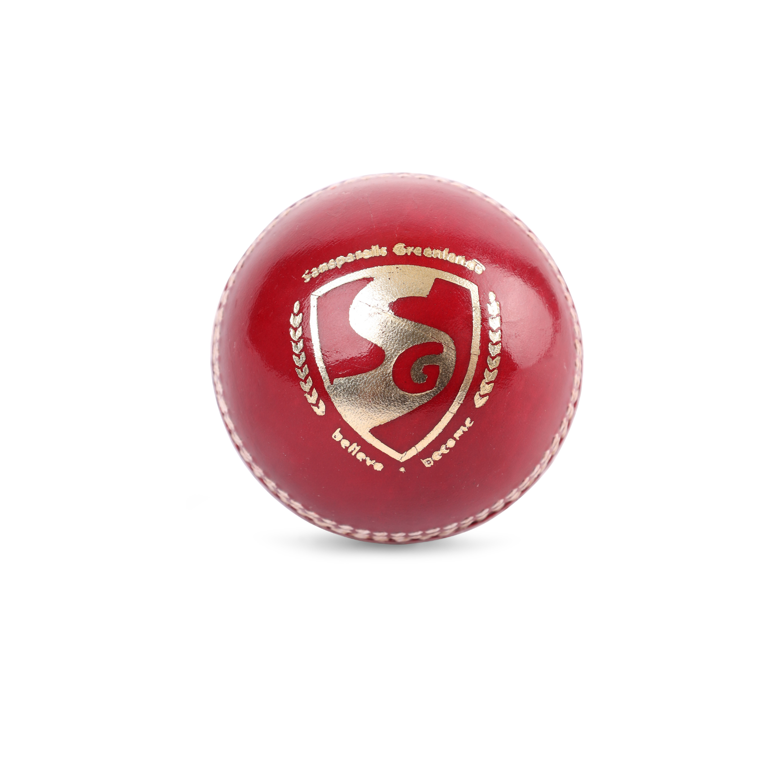 SG Shield 20 Red Cricket Leather Ball