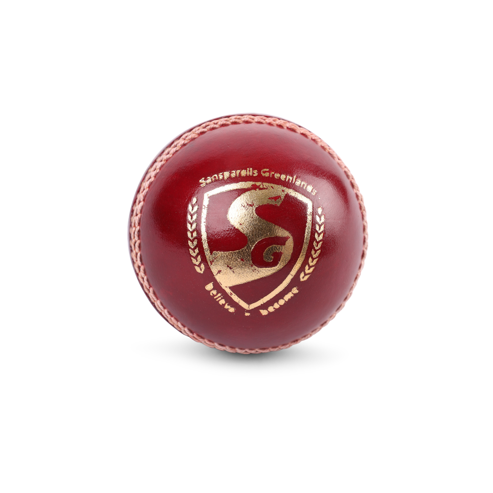 SG Seamer Cricket Leather Ball