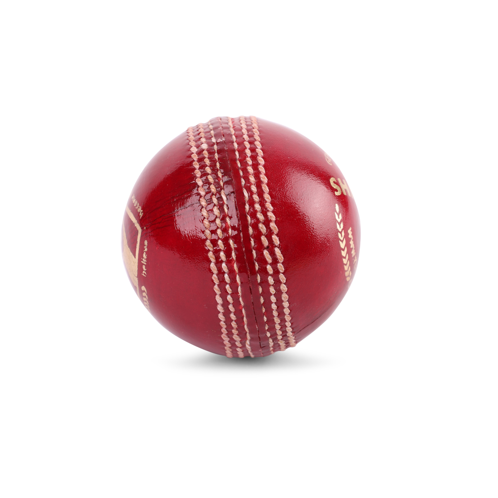 SG Shield 30 Red Cricket Leather Ball