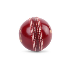 SG Seamer Cricket Leather Ball