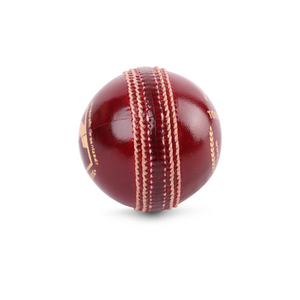 SG Tournament™ Special Cricket Leather Ball