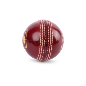 SG Tournament™ Cricket Leather Ball