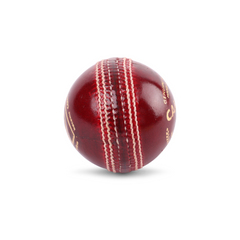 SG Campus Cricket Leather Ball