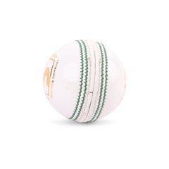 SG Test™ White Cricket Leather Ball