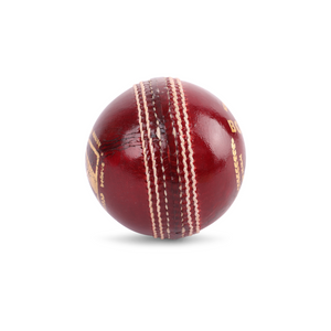 SG Bouncer™ Cricket Leather Ball