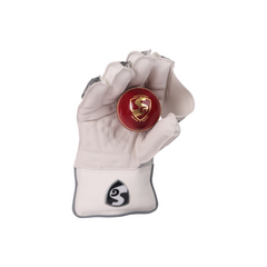 SG RSD Prolite Wicket Keeping Gloves (Multi-Color) W.K. Gloves