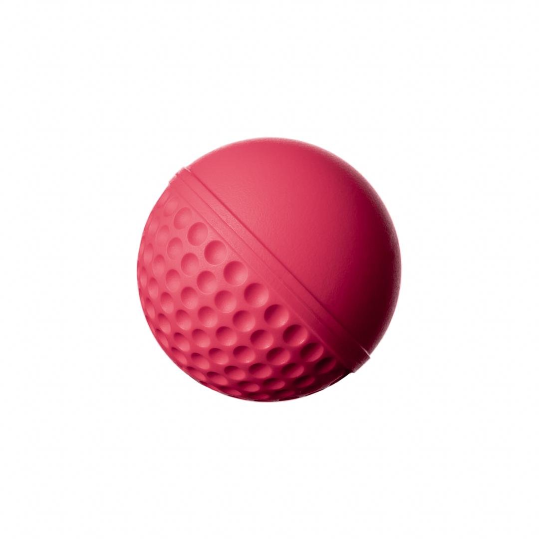 SG Swinga Cricket ball (Pink)