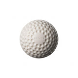 SG Swinga Cricket Ball (White)