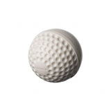 SG Swinga Cricket Ball (White)