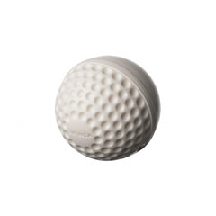 SG Swinga Cricket ball (White)